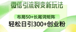 微信引流裂变新玩法：布局50+长尾词矩阵，轻松日引300+创业粉-升阶有道