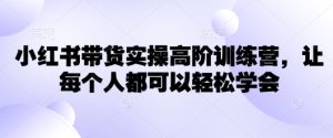 小红书带货实操高阶训练营,让每个人都可以轻松学会-升阶有道
