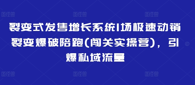 裂变式发售增长系统1场极速动销裂变爆破陪跑(闯关实操营)，引爆私域流量-升阶有道