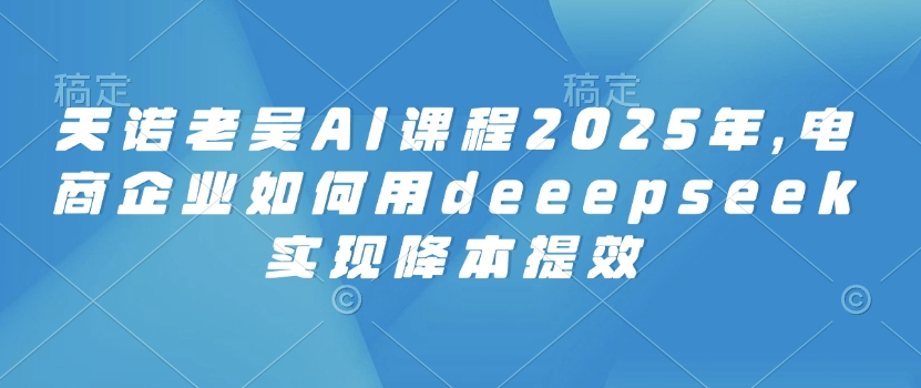 天诺老吴AI课程2025年，电商企业如何用deeepseek实现降本提效-升阶有道