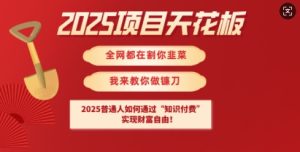 2025项目天花板普通人如何通过知识付费，实现财F自由【揭秘】-升阶有道