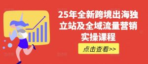 25年全新跨境出海独立站及全域流量营销实操课程，跨境电商独立站TIKTOK全域营销普货特货玩法大全-升阶有道