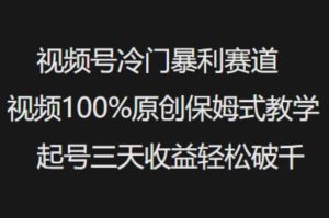 视频号冷门暴利赛道视频100%原创保姆式教学起号三天收益轻松破千-升阶有道