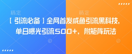【引流必备】全网首发咸鱼引流黑科技，单日曝光引流500+，附矩阵玩法【揭秘】-升阶有道