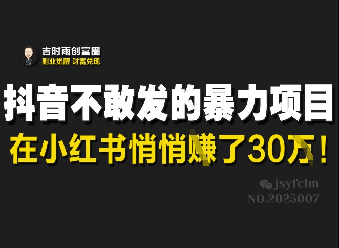 抖音不敢发的暴利项目，在小红书悄悄挣了30W-升阶有道