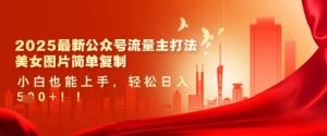 2025最新公众号流量主打法，美女图片简单复制，小白也能上手，轻松日入5张-升阶有道
