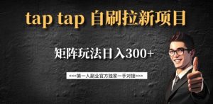 taptap拉新自刷项目，一个新用户14元，矩阵玩法日入300+-升阶有道