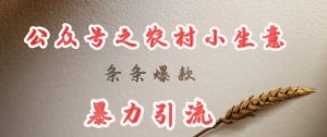 deepseek写农村小项目,条条爆款,暴力引流-升阶有道