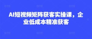 AI短视频矩阵获客实操课，企业低成本精准获客-升阶有道