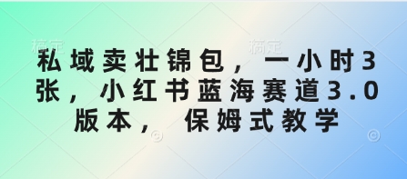 私域卖壮锦包，一小时3张，小红书蓝海赛道3.0版本， 保姆式教学-升阶有道
