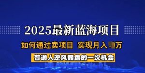 2025蓝海项目,普通人如何通过卖项目,实现月入过W,全过程【揭秘】-升阶有道