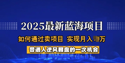 2025蓝海项目，普通人如何通过卖项目，实现月入过W，全过程【揭秘】-升阶有道