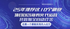 25年推荐这10个副业项目包含褂鸡类、代运营托管类、全自动打金类【揭秘】-升阶有道