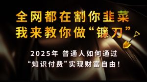 全网都在割你韭菜,我来教你做镰刀,2025普通人如何通过知识付费,实现财F自由【揭秘】-升阶有道