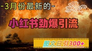 小红书超劲爆引流手段,图文日引300+轻松变现1W-升阶有道
