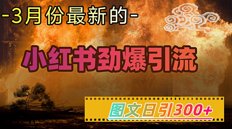 小红书超劲爆引流手段，图文日引300+轻松变现1W-升阶有道