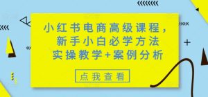 小红书电商高级课程,新手小白必学方法,实操教学+案例分析-升阶有道