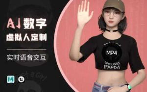 Ai数字人虚拟(智能体)实时语音交互特训营,自行定制超写实角色AI数字人交互技术-升阶有道