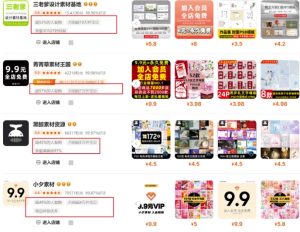 0成本虚拟项目实战手把手教你落地，单店月入5k-升阶有道