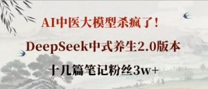 AI中医大模型杀疯了!DeepSeek中式养生2.0版本,十几篇笔记粉丝3w+-升阶有道