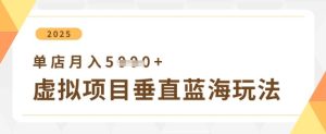 虚拟项目垂直玩法，实现单店月入5k+-升阶有道