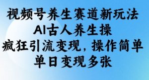 视频号养生赛道新玩法,AI古人养生操,疯狂引流变现,操作简单,单日变现多张-升阶有道