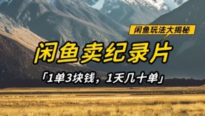 闲鱼卖纪录片1单3块钱，1天几十单，项目稳定有潜力-升阶有道