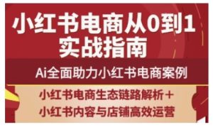 2025小红书电商全链路运营，Ai全面助力小红书电商案例-升阶有道