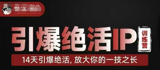 引爆绝活IP训练营，14天引爆绝活，放大你的一技之长-升阶有道