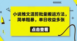 小说推文混剪批量搬运方法,简单粗暴,单日收益多张-升阶有道