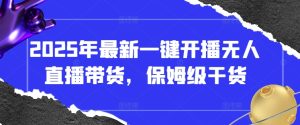 2025年最新一键开播无人直播带货,保姆级干货-升阶有道