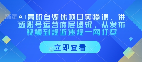 AI高阶自媒体项目实操课，讲透账号运营底层逻辑，从发布视频到规避违规一网打尽-升阶有道