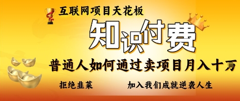 互联网项目天花板，知付付费项目，普通人如何通过卖项目月入十个，拒绝韭菜【揭秘】-升阶有道