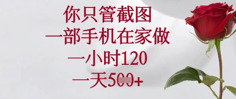 你只管截图，一部手机在家做，苹果安卓都可以，一小时120，一天5张+【揭秘】-升阶有道