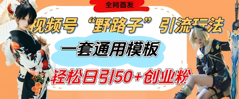 视频号“野路子”玩法，评论区疯狂截流，一套模板单日单号引流50+创业粉-升阶有道