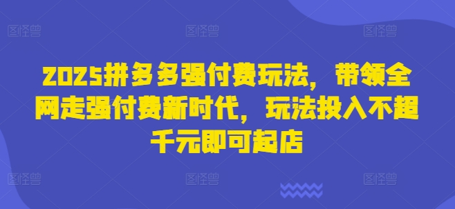 2025拼多多强付费玩法，带领全网走强付费新时代，玩法投入不超千元即可起店-升阶有道