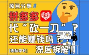 【2025最新】拼多多代坎助力项目深度拆解：还能挣钱吗?全流程玩法-升阶有道