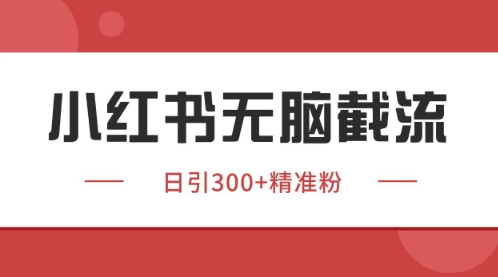 小红书只要你有同行就能获客，独家野路子获客玩法，暴力截流【揭秘】-升阶有道