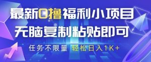 最新0撸福利小项目,抖音平台大放水,无脑复制粘贴 即可挣钱,任务不限量,轻松日入1K+【揭秘】-升阶有道