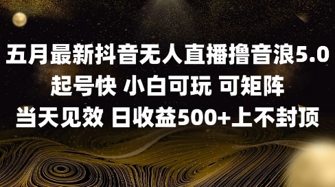 2025五月最新无人直播撸音浪单日产出5张+实操教程【揭秘】-升阶有道
