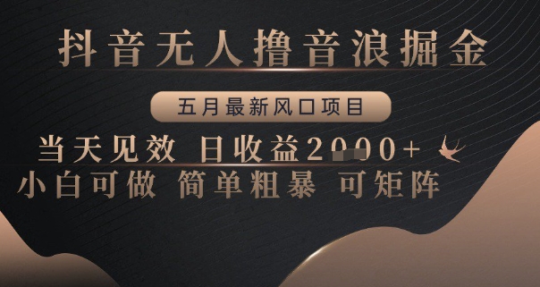 抖音无人撸音浪掘金，五月最新风口项目，当天见效，日收益多张，小白可做简单粗暴可矩阵【揭秘】-升阶有道