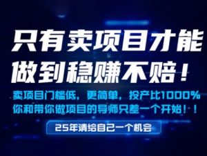 只有卖项目才能做到稳挣不赔,门槛低,更简单,你也可以年入百个W【揭秘】-升阶有道