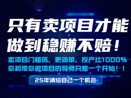 只有卖项目才能做到稳挣不赔，门槛低，更简单，你也可以年入百个W【揭秘】-升阶有道