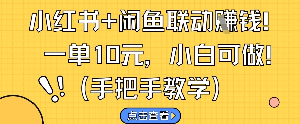 小红书+闲鱼联动挣钱，一单10元，小白可做-升阶有道
