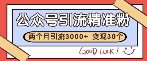 公众号精准粉引流玩法，2个月3000+精准粉，变现30个W【揭秘】-升阶有道