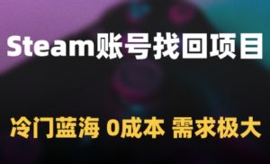 Steam账号找回项目，冷门蓝海，0成本，需求极大-升阶有道