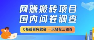网创搬砖项目,国内问卷调查,小白轻松上手,一天三四张的也不难,干就完了【揭秘】-升阶有道