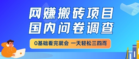 网创搬砖项目，国内问卷调查，小白轻松上手，一天三四张的也不难，干就完了【揭秘】-升阶有道