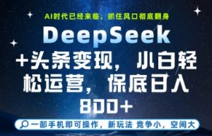 DeepSeek+头条变现,保姆级教学,小白轻松上手,日入8张+【揭秘】-升阶有道