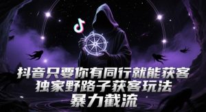 抖音只要你有同行就能获客,独家野路子获客玩法,暴力截流【揭秘】-升阶有道